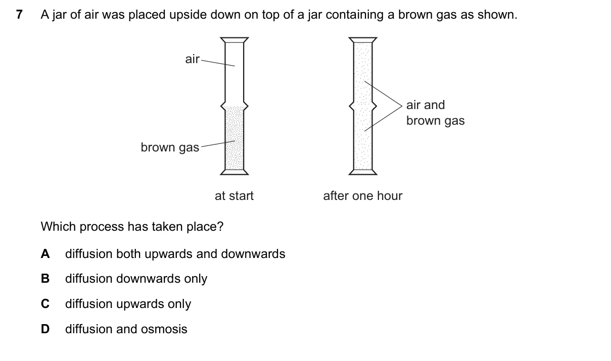 Question 7, March 2021, 0610 Paper 22