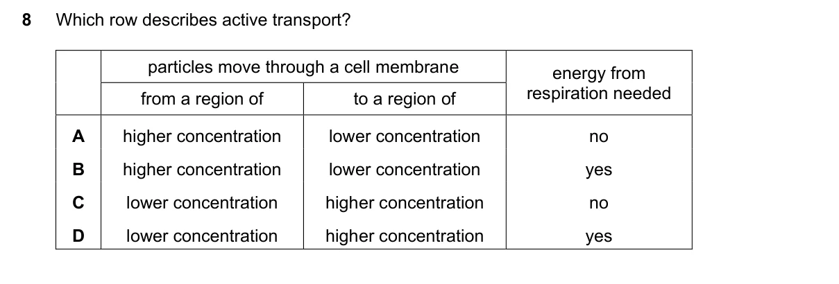 Question 8, March 2021, 0610 Paper 22