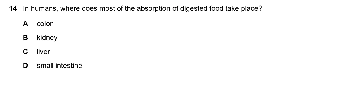 Question 14, June 2021, 0610 Paper 11