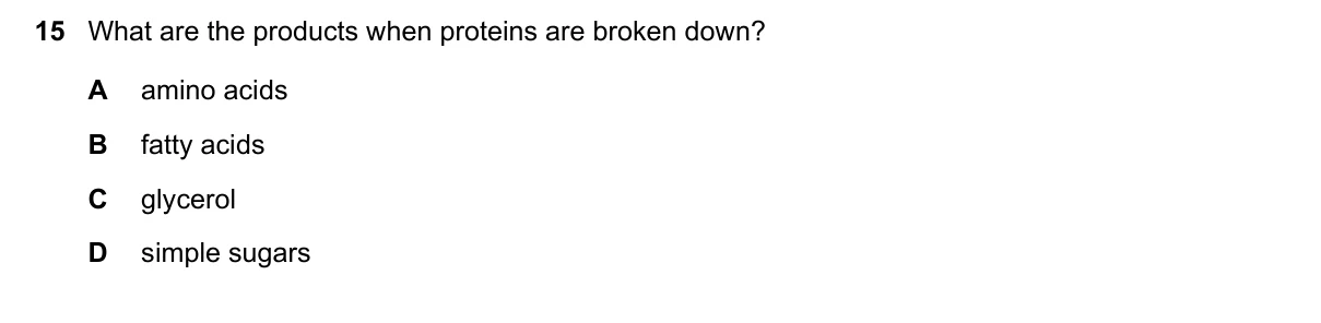 Question 15, June 2021, 0610 Paper 11