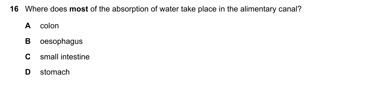 Question 16, June 2021, 0610 Paper 11