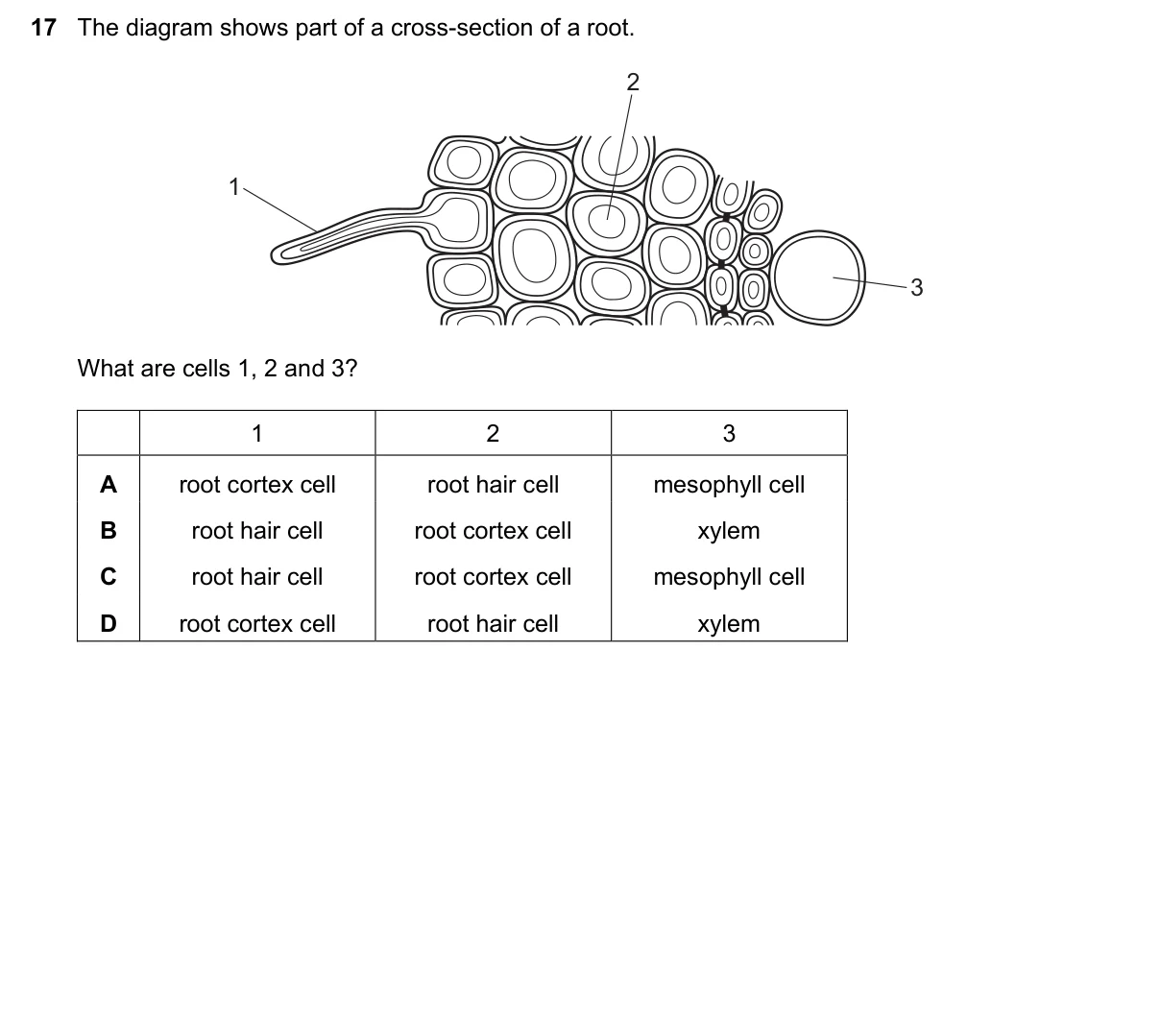 Question 17, June 2021, 0610 Paper 11