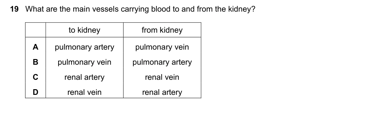 Question 19, June 2021, 0610 Paper 11