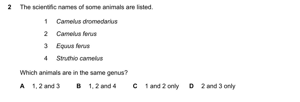 Question 2, June 2021, 0610 Paper 11