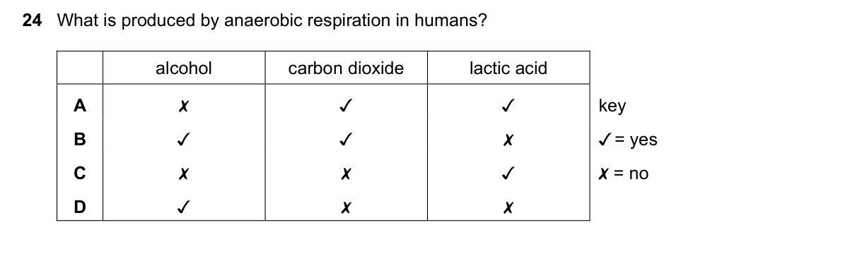 Question 24, June 2021, 0610 Paper 11