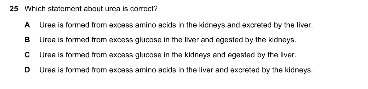 Question 25, June 2021, 0610 Paper 11