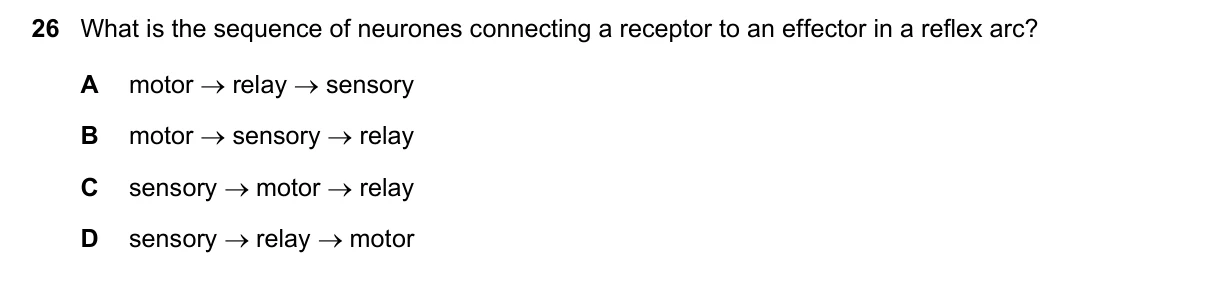 Question 26, June 2021, 0610 Paper 11