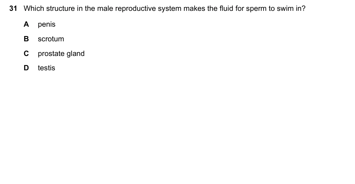 Question 31, June 2021, 0610 Paper 11