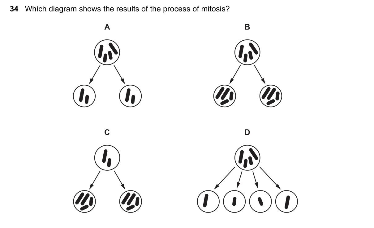 Question 34, June 2021, 0610 Paper 11