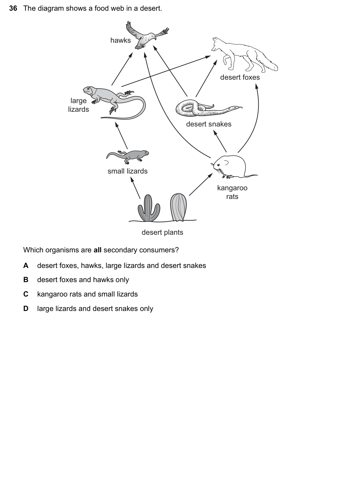 Question 36, June 2021, 0610 Paper 11
