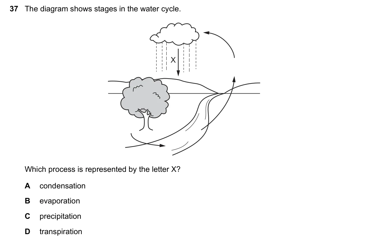 Question 37, June 2021, 0610 Paper 11