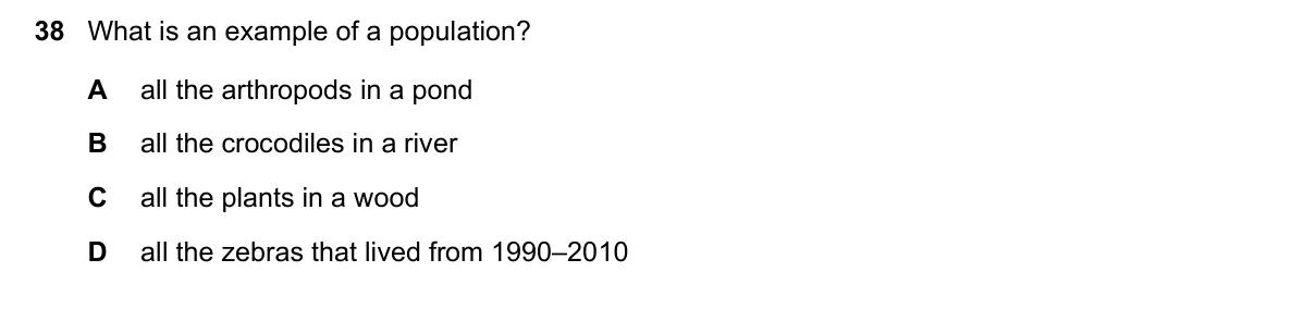 Question 38, June 2021, 0610 Paper 11