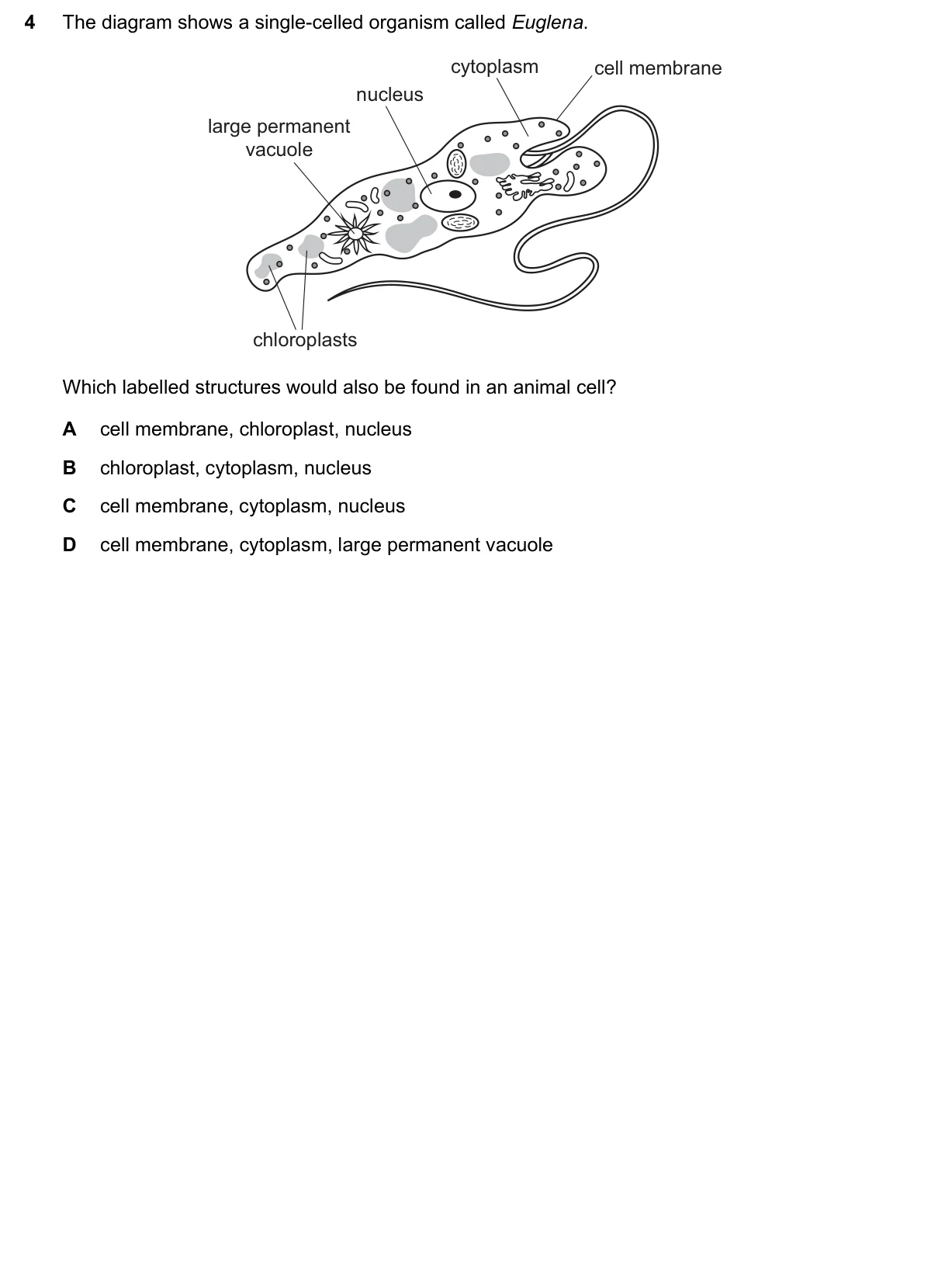 Question 4, June 2021, 0610 Paper 11
