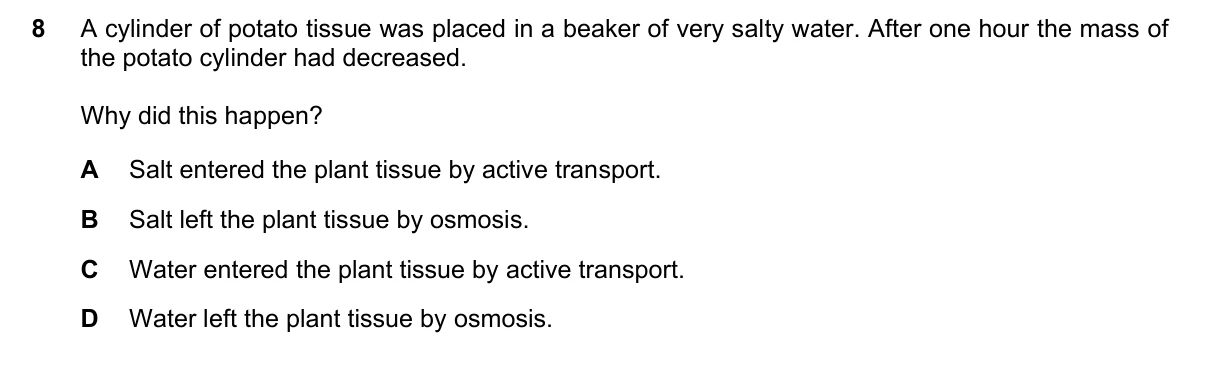 Question 8, June 2021, 0610 Paper 11