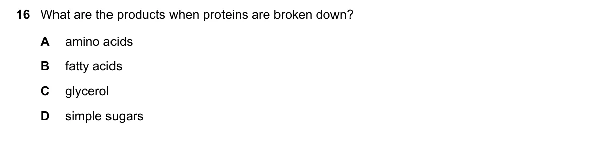 Question 16, June 2021, 0610 Paper 21