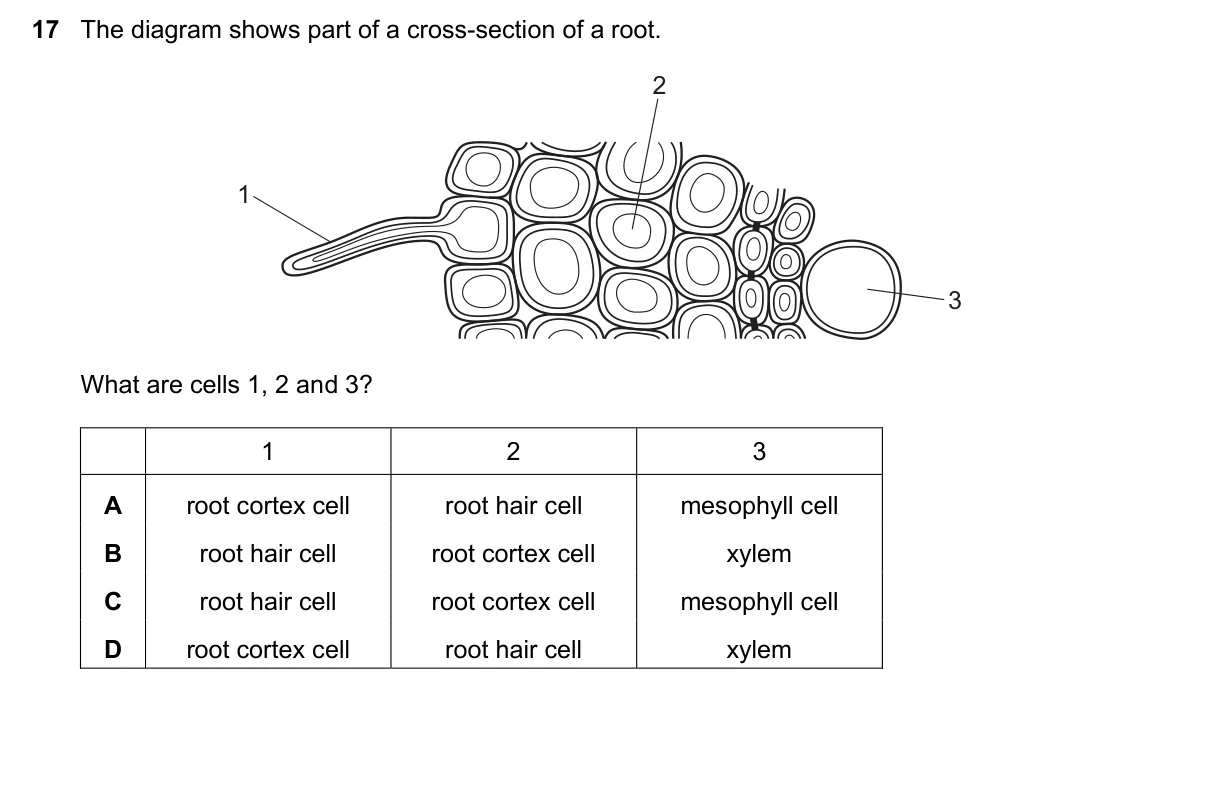 Question 17, June 2021, 0610 Paper 21