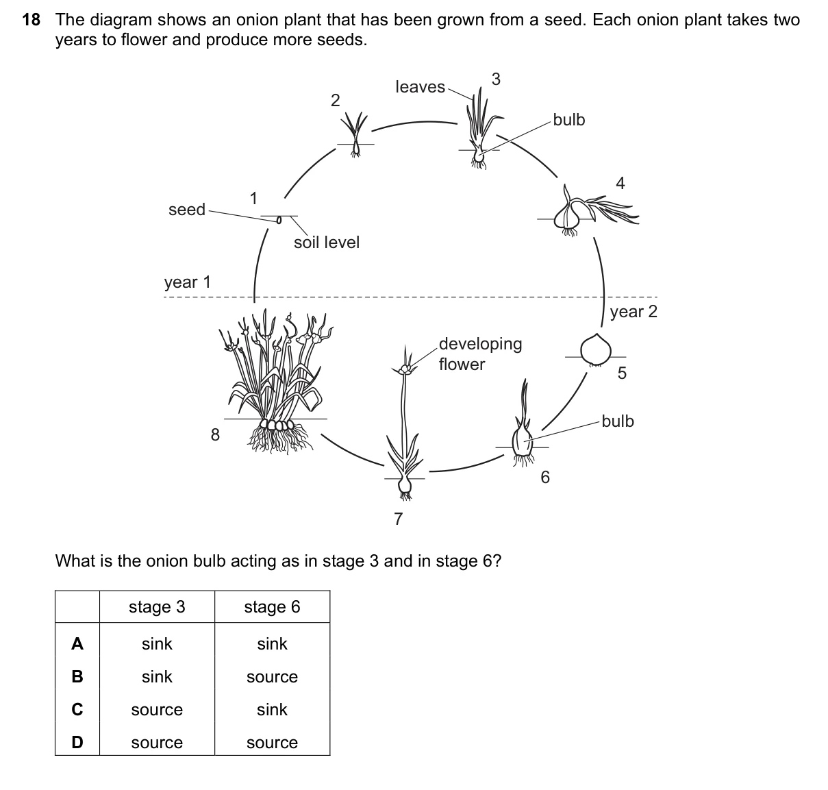 Question 18, June 2021, 0610 Paper 21