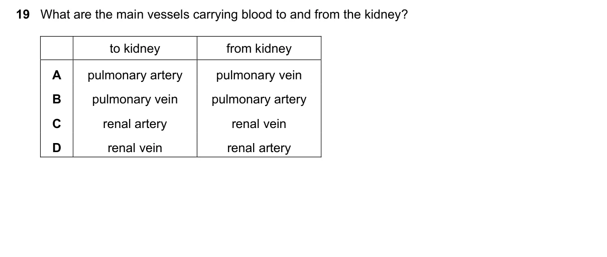Question 19, June 2021, 0610 Paper 21