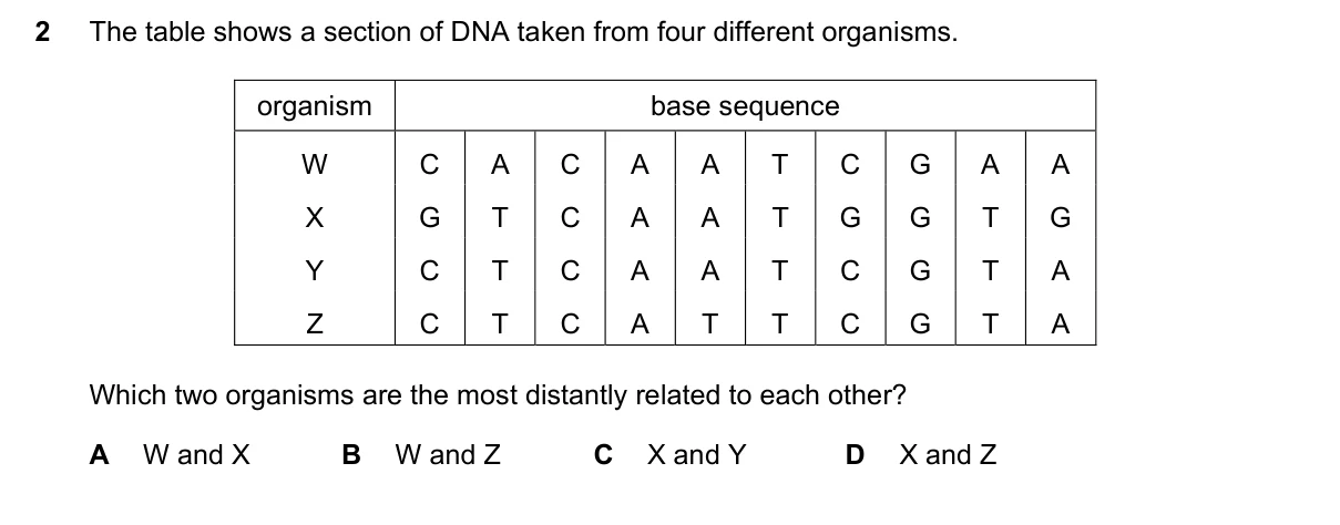 Question 2, June 2021, 0610 Paper 21