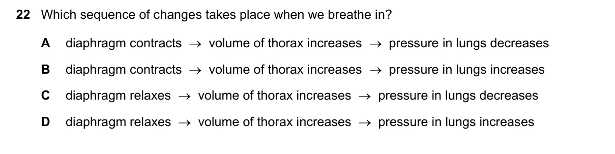 Question 22, June 2021, 0610 Paper 21