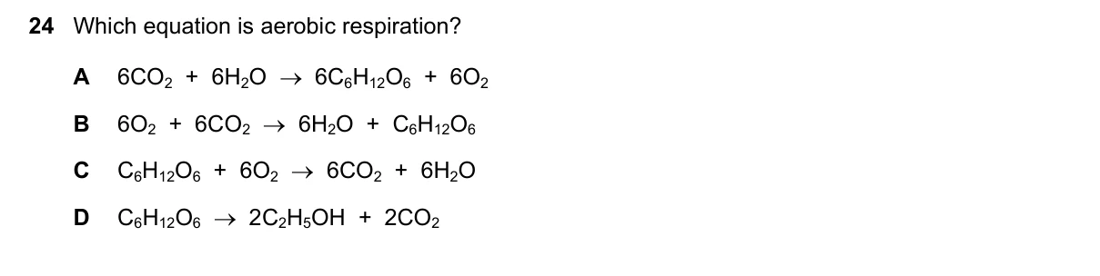 Question 24, June 2021, 0610 Paper 21