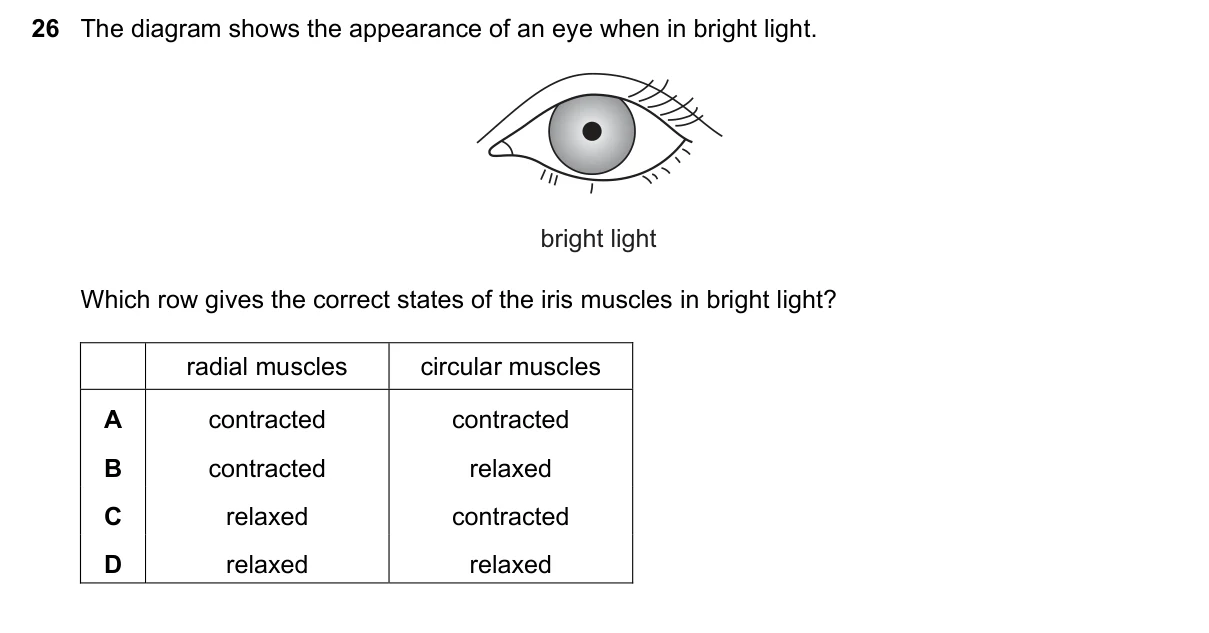 Question 26, June 2021, 0610 Paper 21