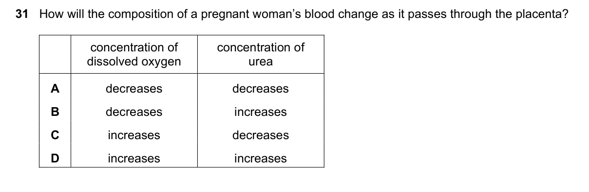 Question 31, June 2021, 0610 Paper 21