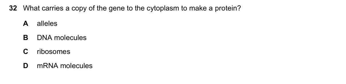 Question 32, June 2021, 0610 Paper 21