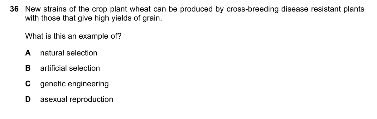Question 36, June 2021, 0610 Paper 21