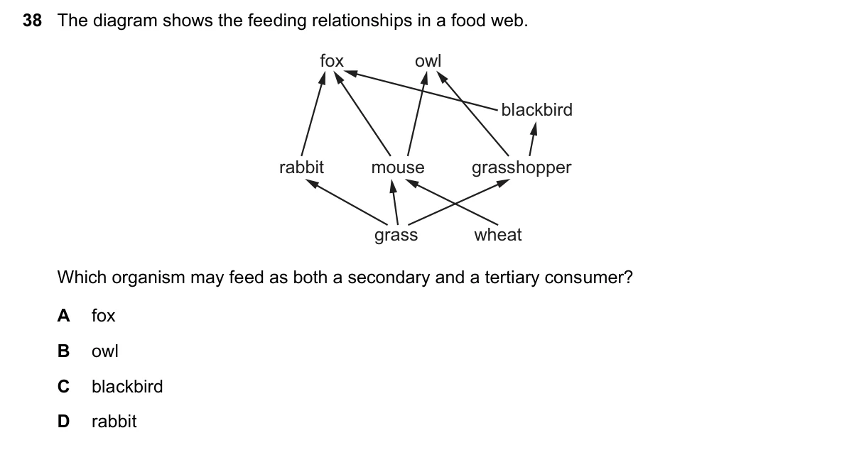 Question 38, June 2021, 0610 Paper 21