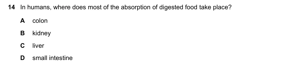 Question 14, June 2021, 0610 Paper 12