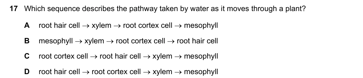 Question 17, June 2021, 0610 Paper 12