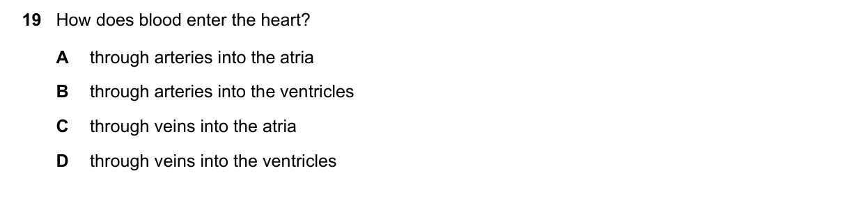 Question 19, June 2021, 0610 Paper 12