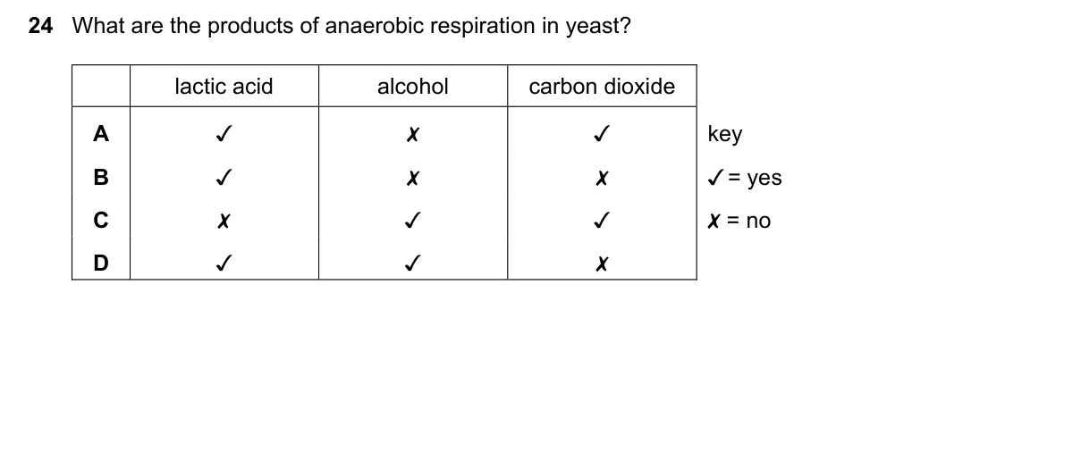 Question 24, June 2021, 0610 Paper 12
