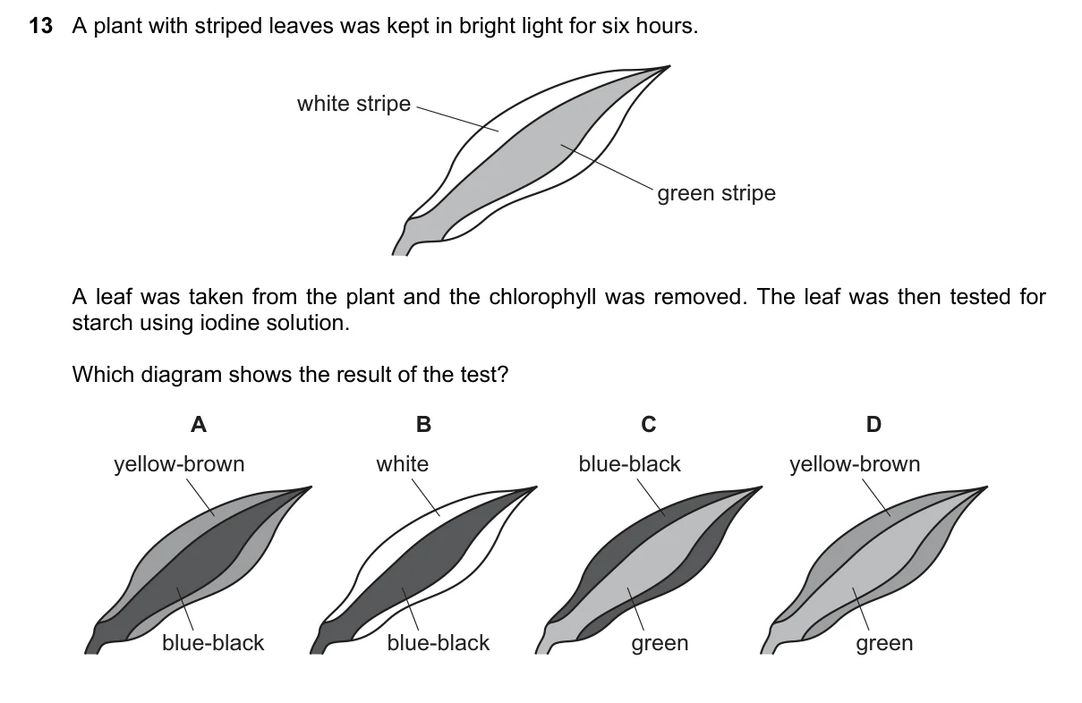 Question 13, June 2021, 0610 Paper 22