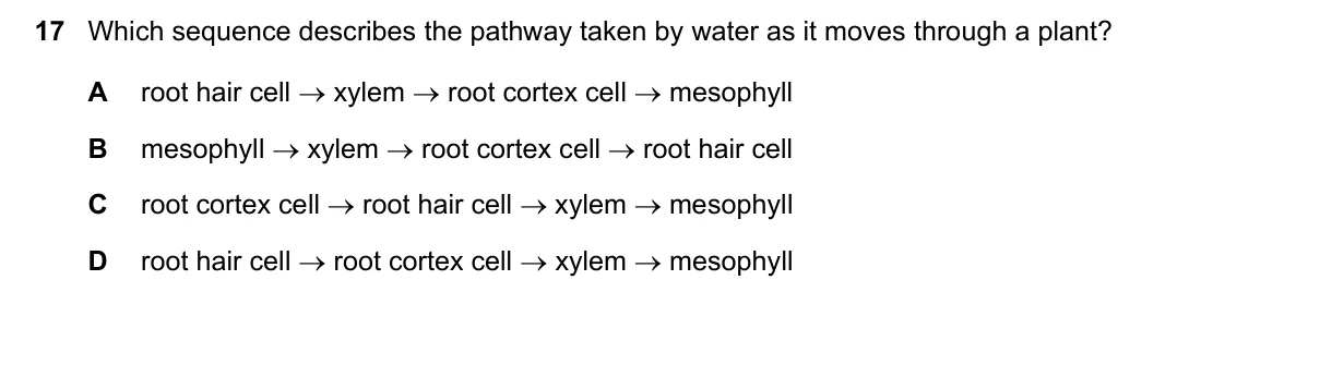 Question 17, June 2021, 0610 Paper 22