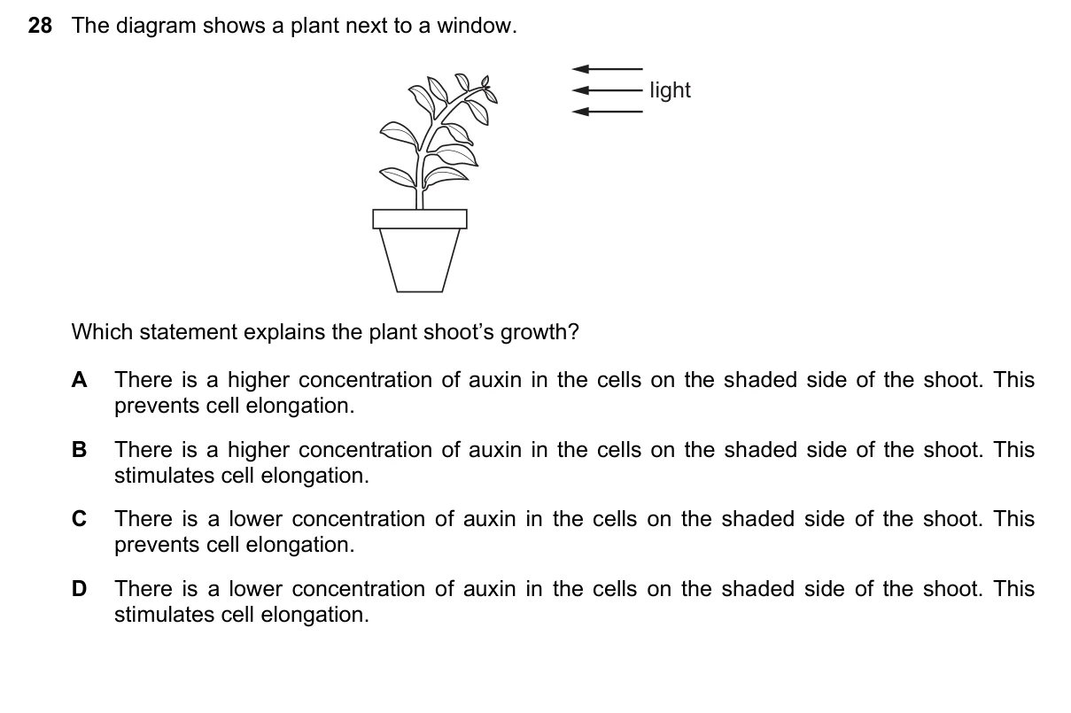 Question 28, June 2021, 0610 Paper 22