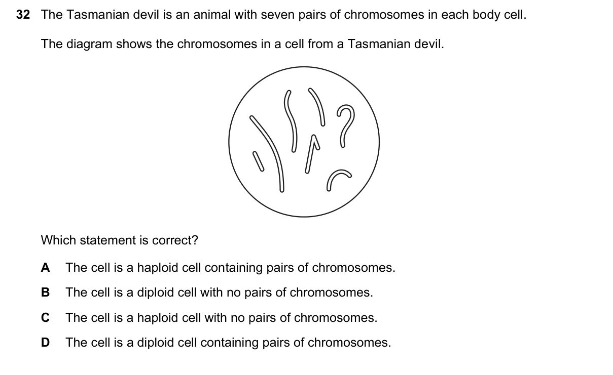 Question 32, June 2021, 0610 Paper 22