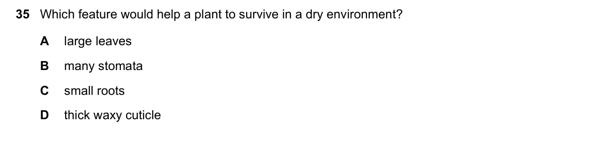 Question 35, June 2021, 0610 Paper 22