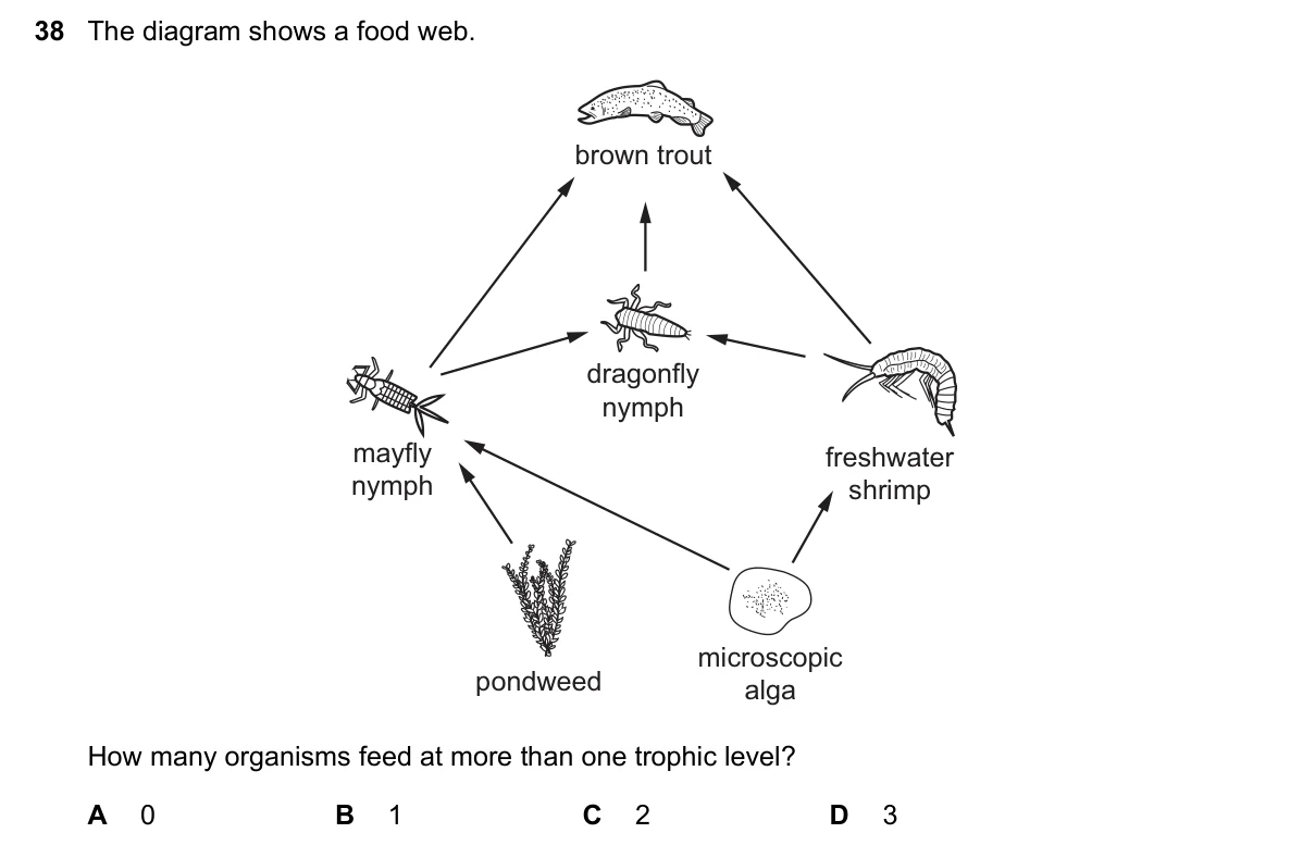 Question 38, June 2021, 0610 Paper 22