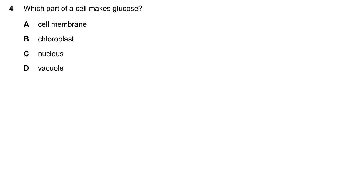 Question 4, June 2021, 0610 Paper 22
