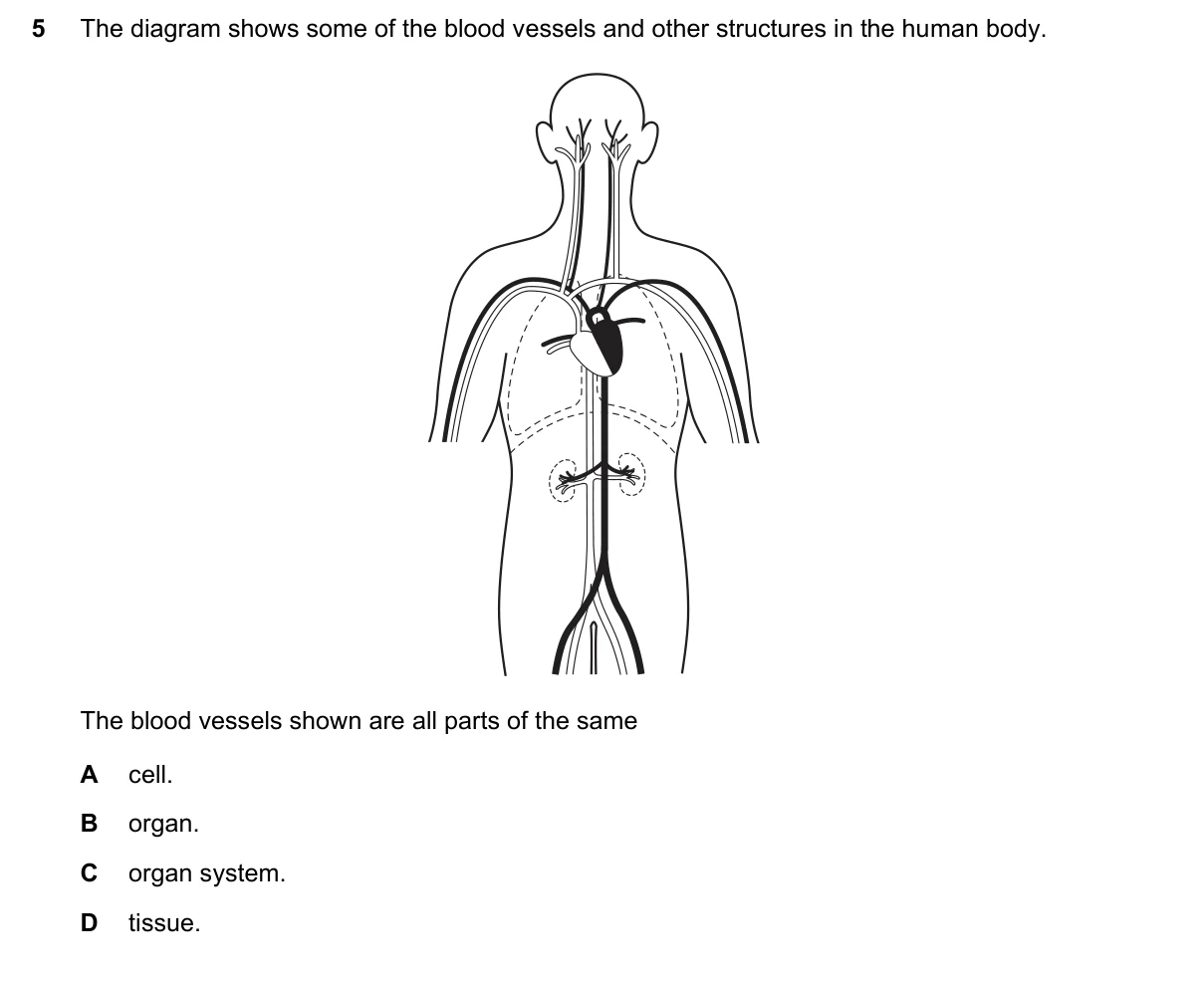 Question 5, June 2021, 0610 Paper 22