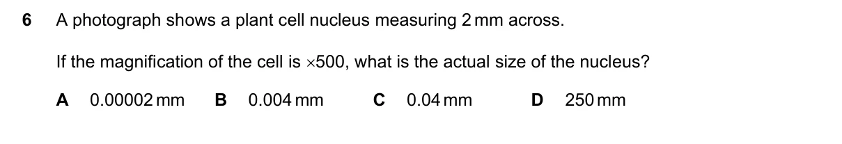 Question 6, June 2021, 0610 Paper 22