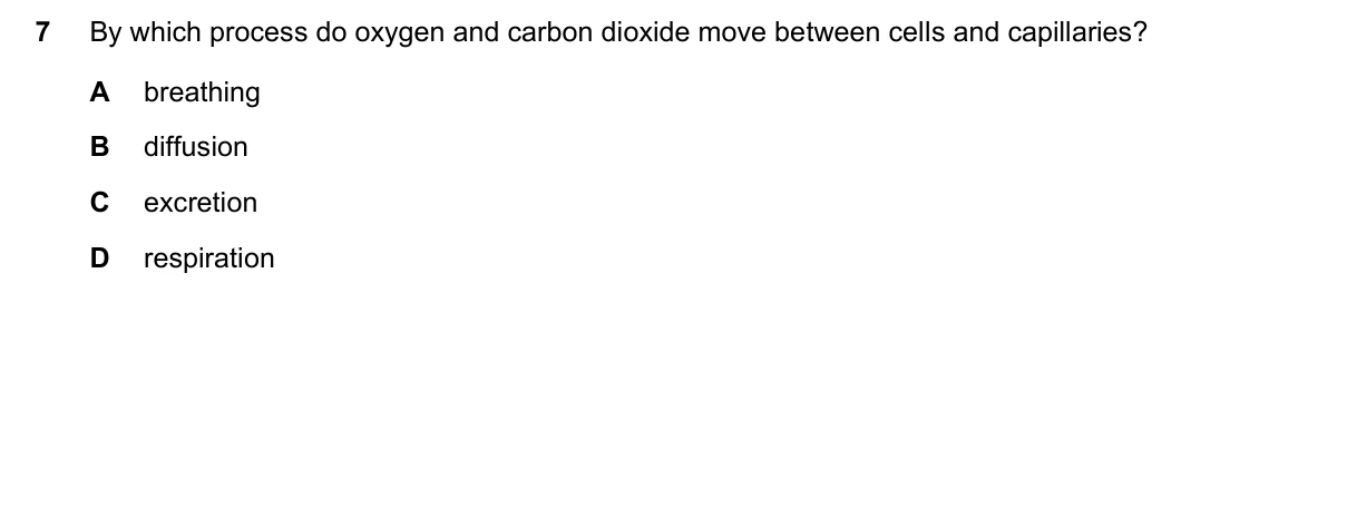 Question 7, June 2021, 0610 Paper 22
