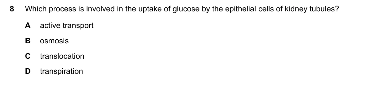 Question 8, June 2021, 0610 Paper 22