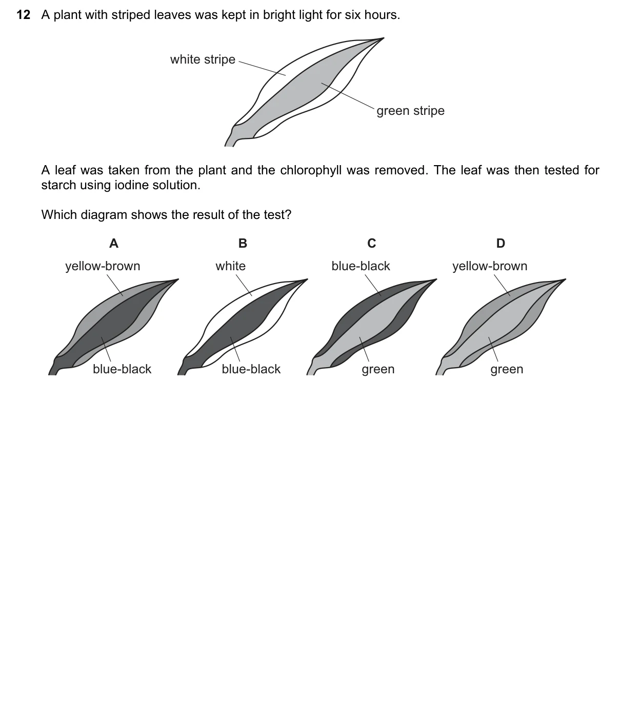 Question 12, June 2021, 0610 Paper 13