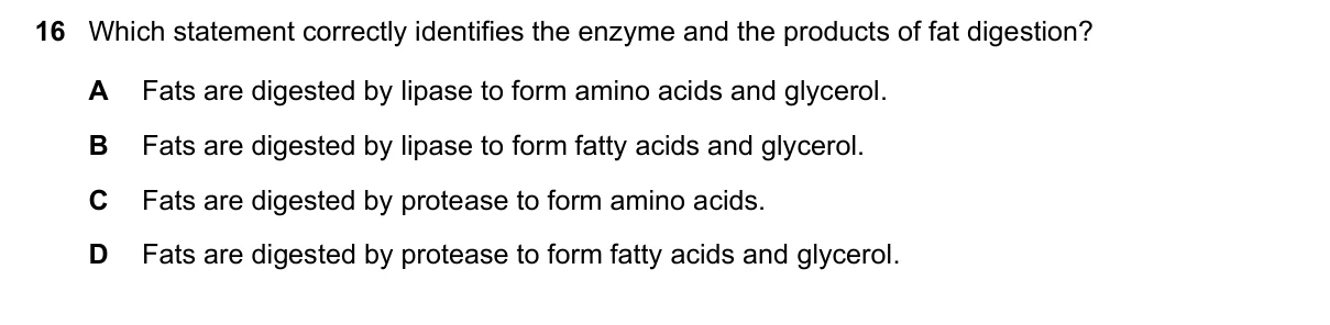 Question 16, June 2021, 0610 Paper 13