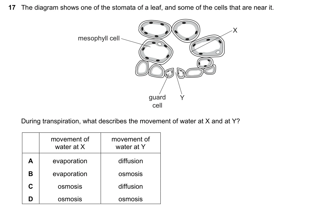 Question 17, June 2021, 0610 Paper 13