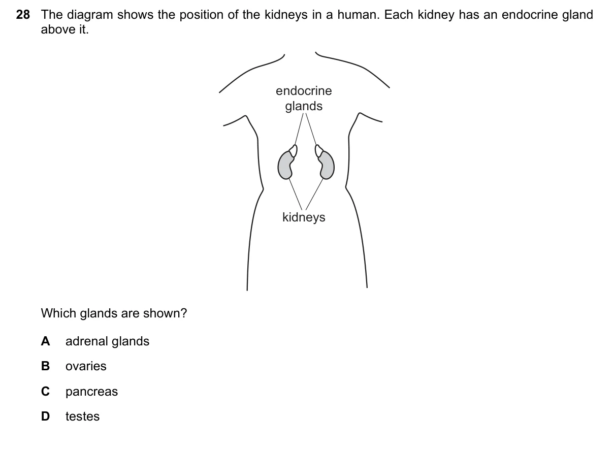 Question 28, June 2021, 0610 Paper 13