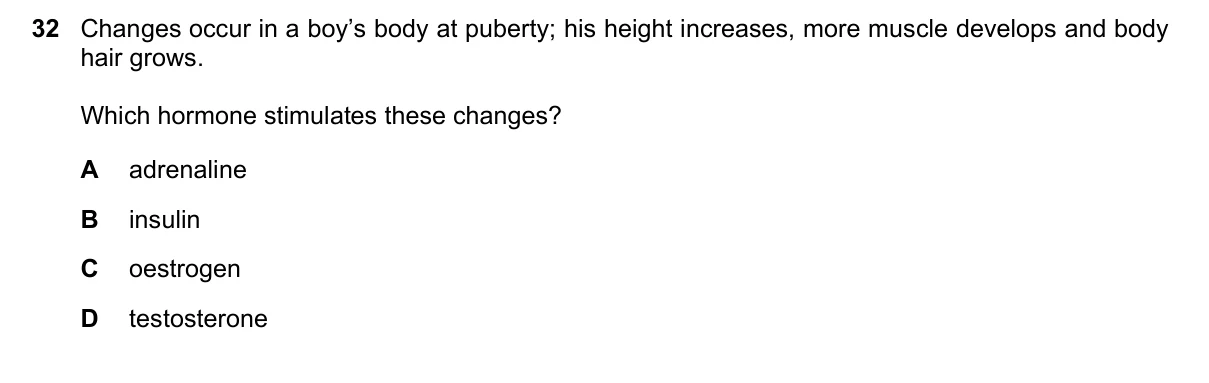 Question 32, June 2021, 0610 Paper 13